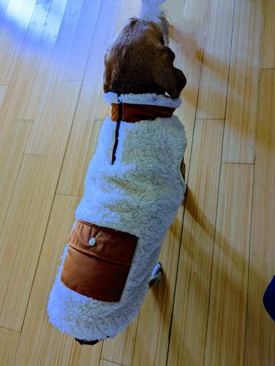 Fashionable and warm easy to put on vest