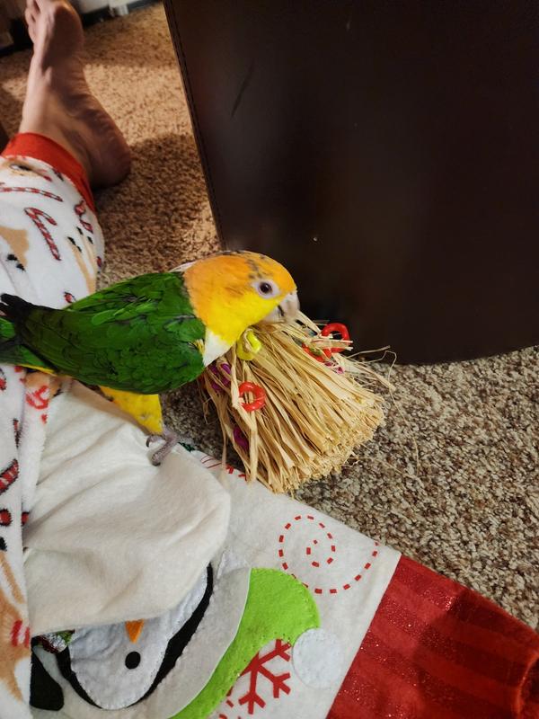 “Thanks, Aunt Helen.”