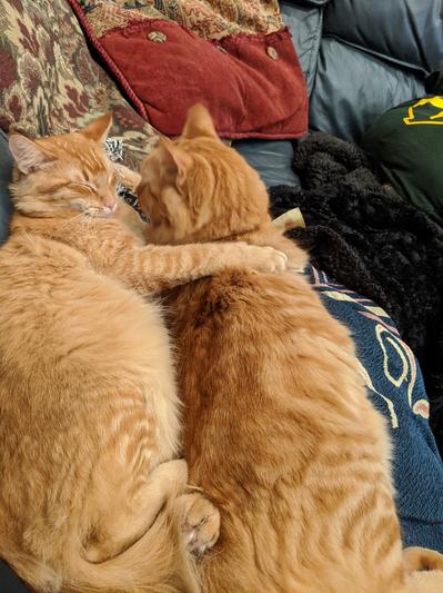 Brotherly Love!