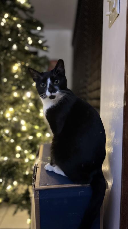 My son waiting for me every single night when I’m coming from work