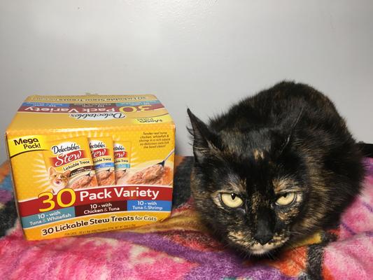 My cat with her treats!