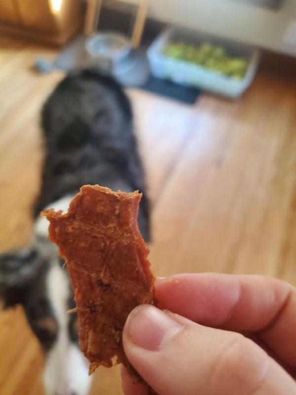BONES & CHEWS All Natural GrainFree Jerky Made with Real Turkey Dog
