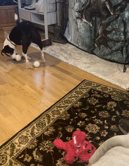 2 white balls came from inside the bunny, and no mess!