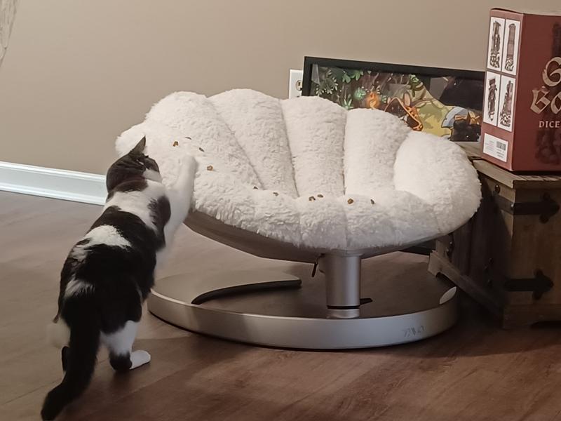 Trying to lure her in with some snacks.