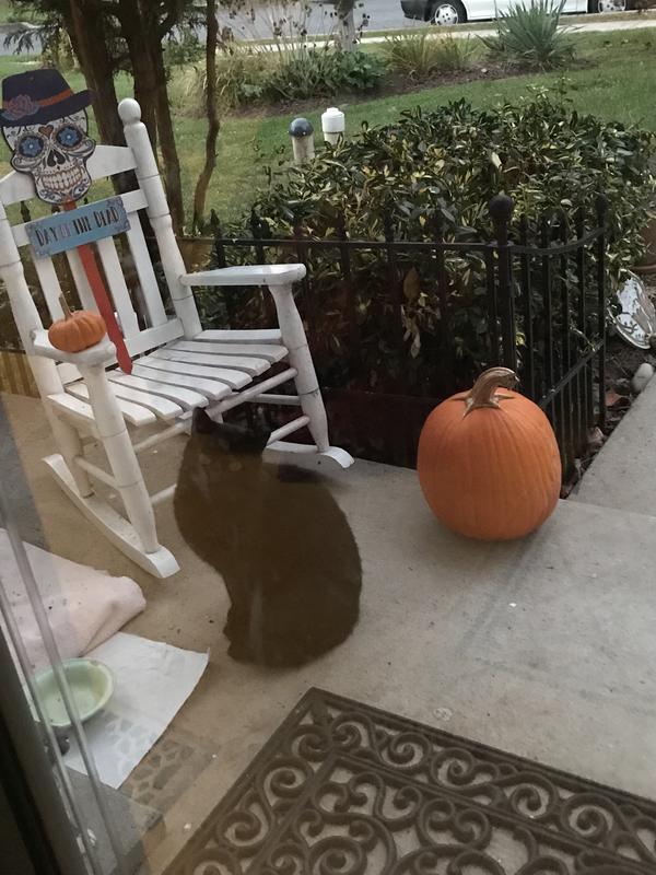 Came back for the second coming winter.