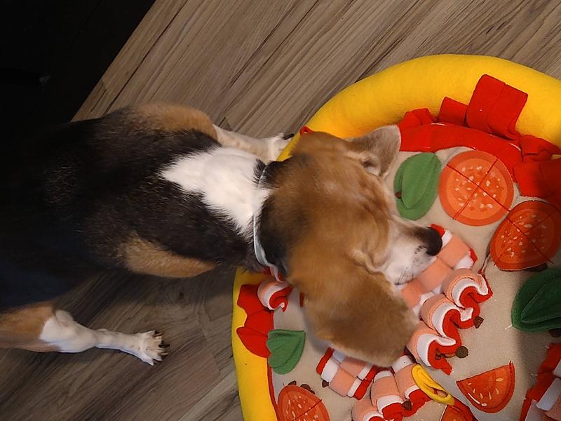 This Pizza-Themed Snuffle Mat For Dogs Is a Slice of Heaven · The