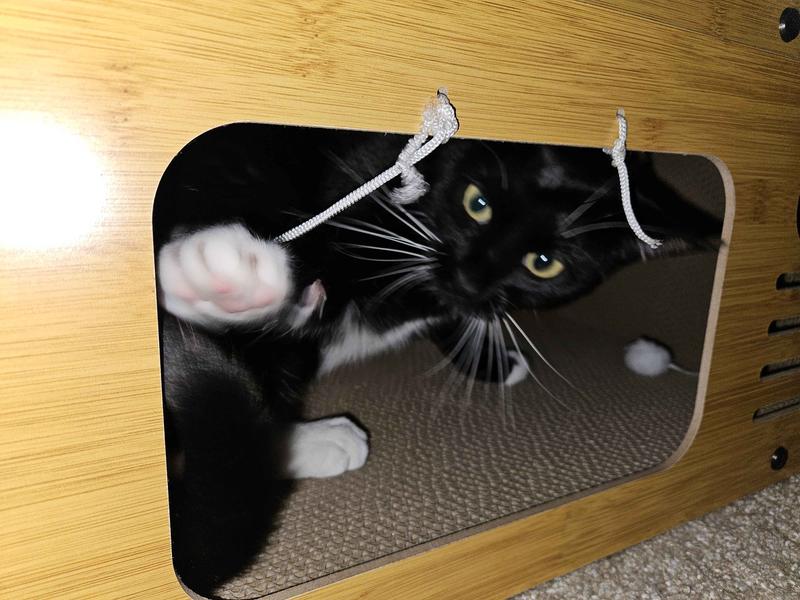 The toy stood no chance against her.