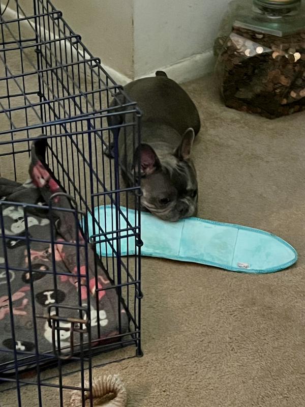 She was playing but still for a photo!!