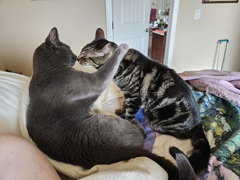Chuck and Beary, 3 years old