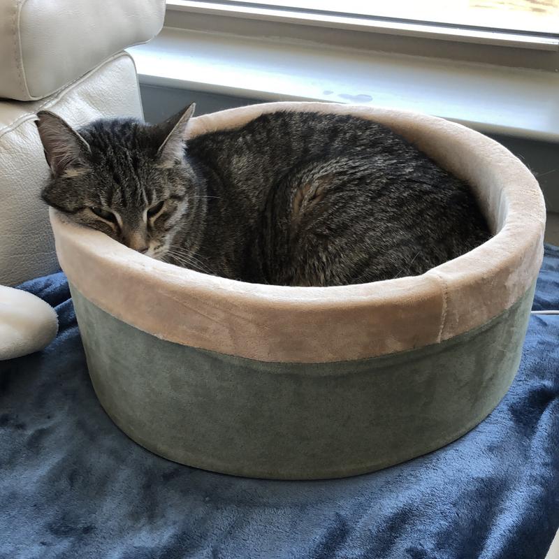 K&h heated best sale cat bed