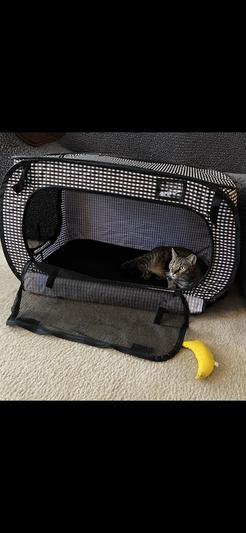 Portable Stress Free Cat Cage