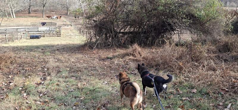When we go out in nature we prefer not to bring nature back with us.