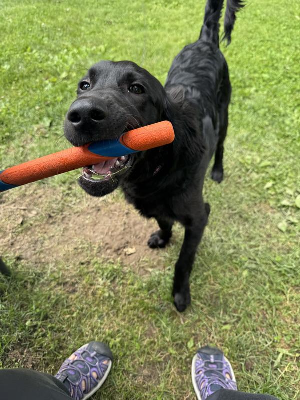 Stick is life.