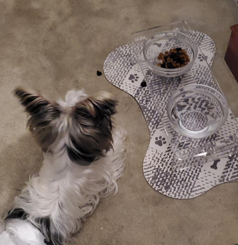 I'm guarding my food monmmy