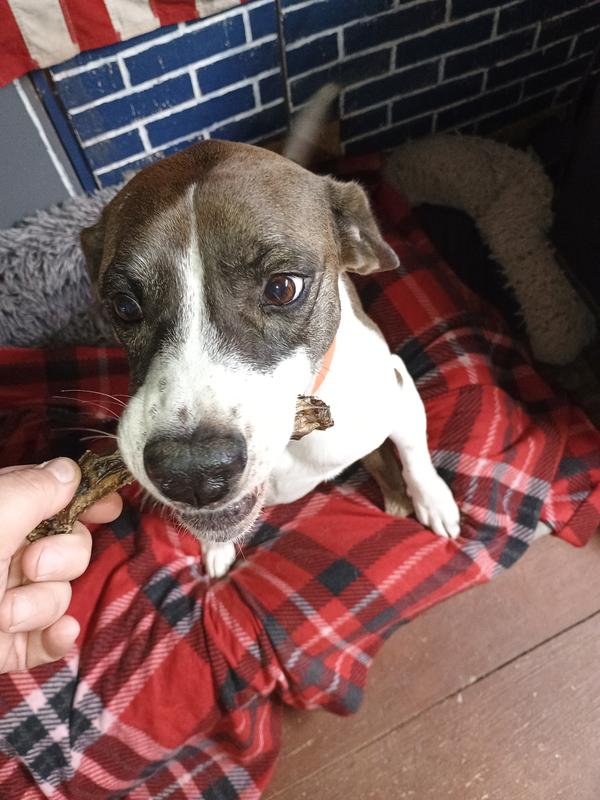 She loves the treats duck is her favorite thing