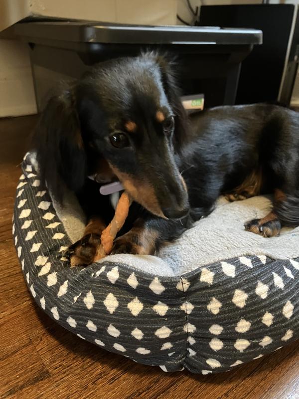 My dachshund love it!