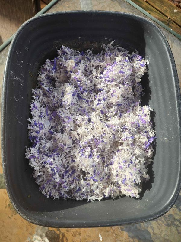 Doesn't take much to fill a cat-sized litter box.