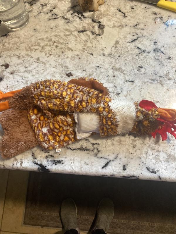 Sad chicken