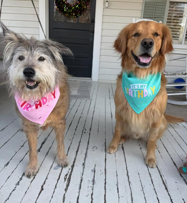 Birthday with her Brother