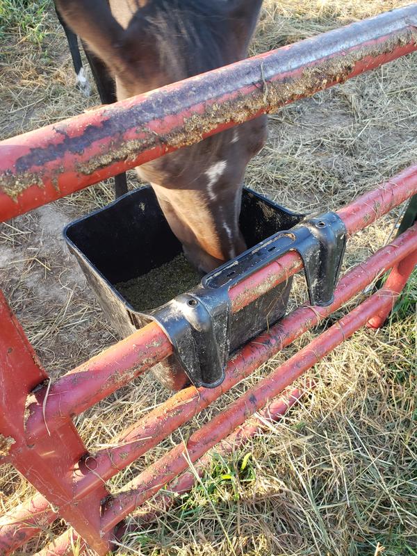 One of the several loving it!