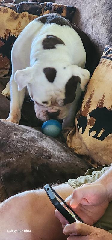 Hey Mom, It squeaks!!