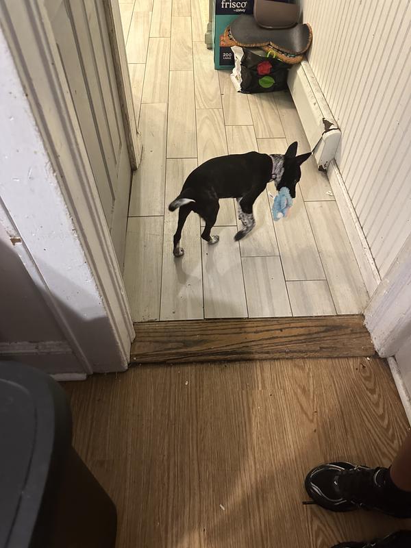 Playing nonstop with these