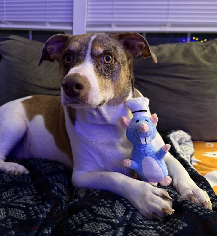 cooper showing off his new christmas gift
