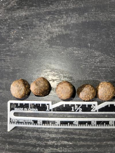 Kibble size