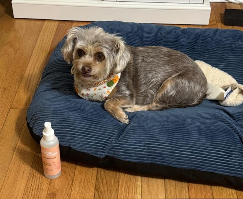Sasha has softer feet after using this daily!