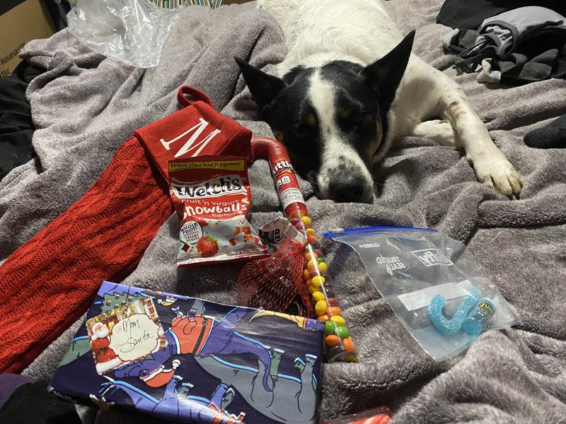 My dog Tuckered out on Christmas, I could not find a picture of him with his treats.