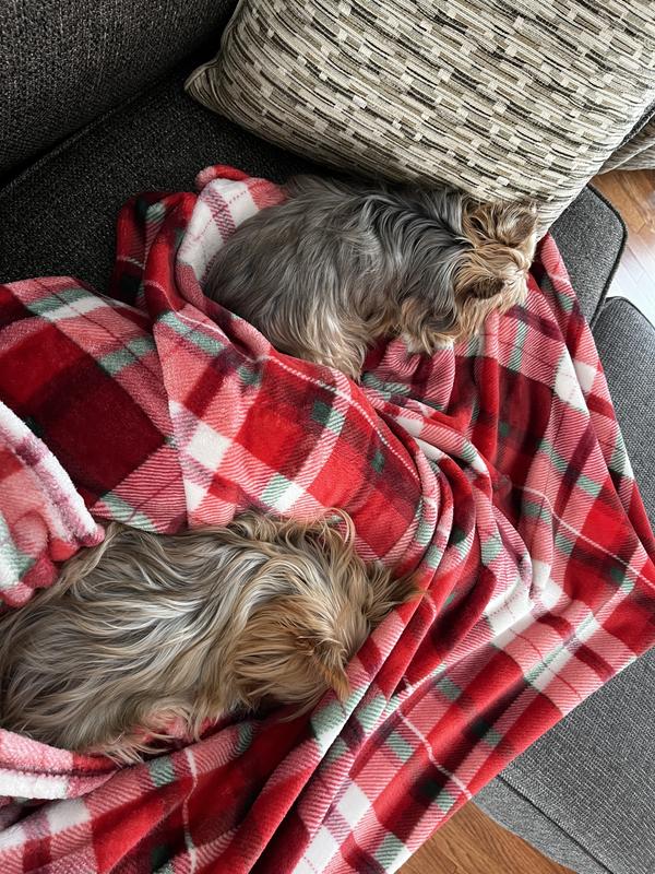 Sleeping after getting their belly’s full