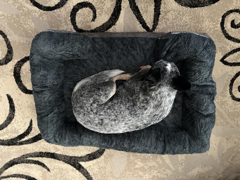 Small ACD. 16” and 38#