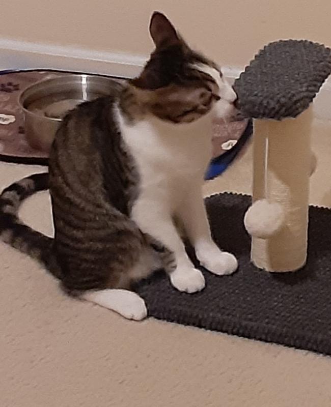 Giant Baby, (6 months old here)