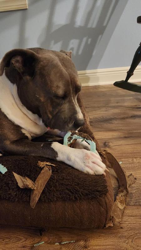 Treat it like a toy, it works.