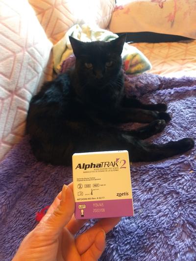 alphatrak 2 for cats