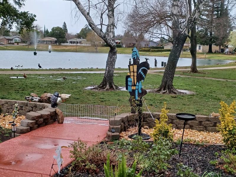 I hope you can see them. They're all gathered around their food.