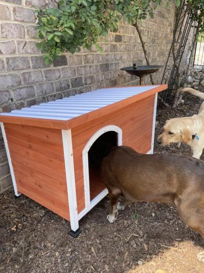Frisco Craftsman Wooden Outdoor Dog House - Large