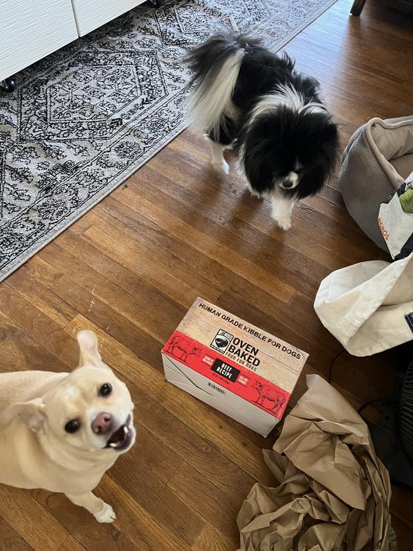 They are so happy with this food