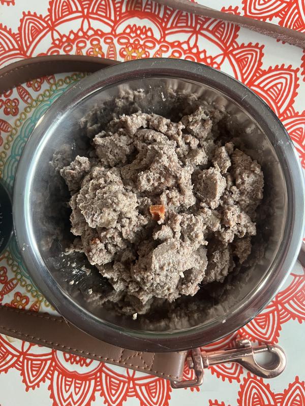 Orijen brand Tundra pate with liver canned dog food in a silver bowl.