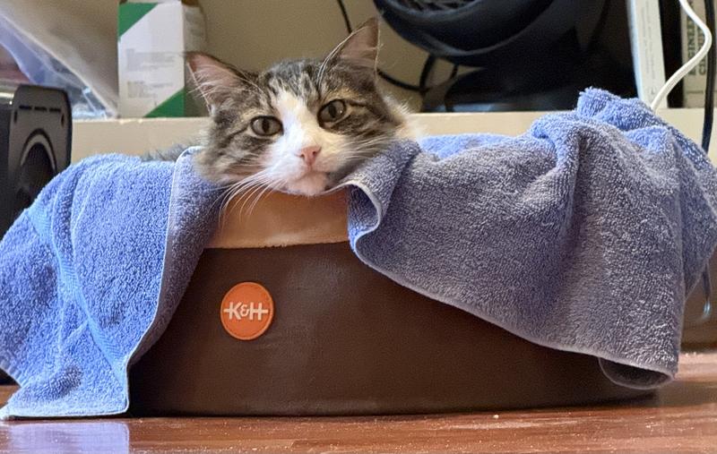 This is my new heated bed and I am NOT sharing!