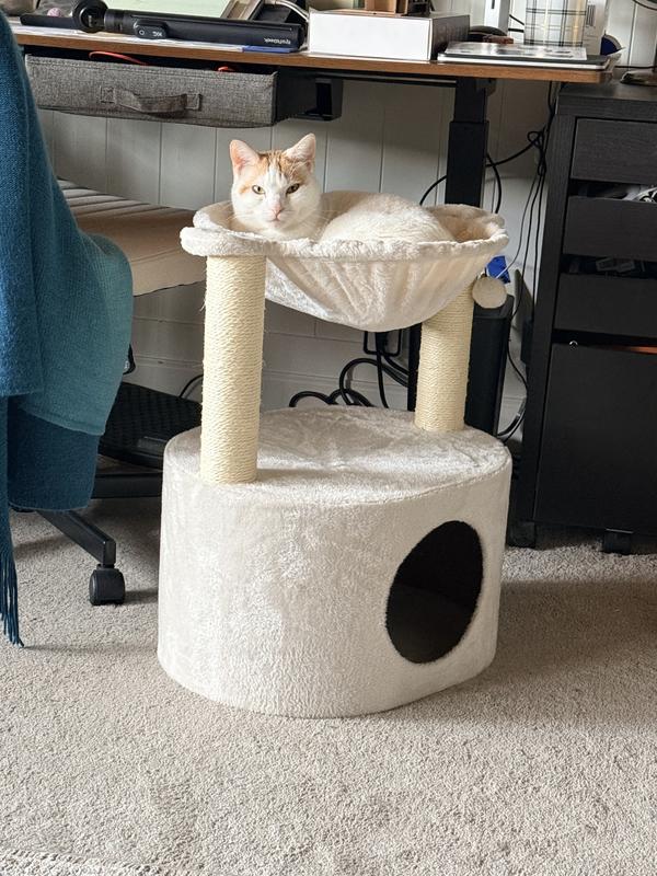 Cali loves the top part