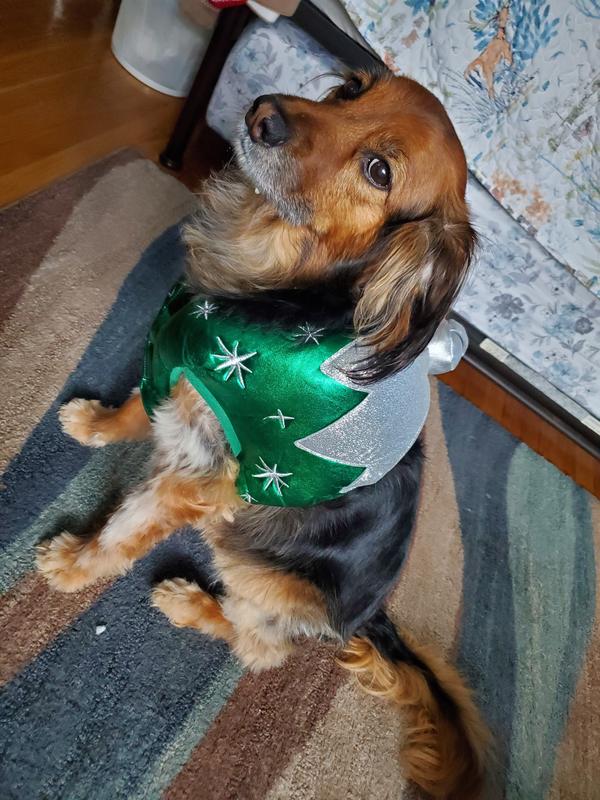 My pretty model, Kendra, looking beautiful in her Christmas ornament costume!