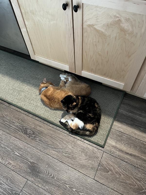 Commandeering the heater with her brother.