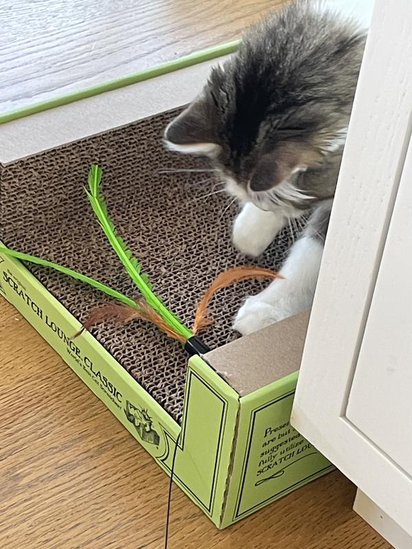 Good for Active Play Hunting