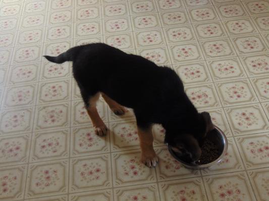 Happily eating away!
