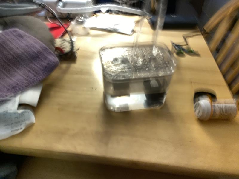 I had it down by their water bowls at first, but then put it on the table to see if that made a difference.