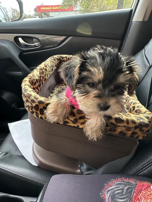 Pet Gear Dog & Cat Bucket Seat Booster