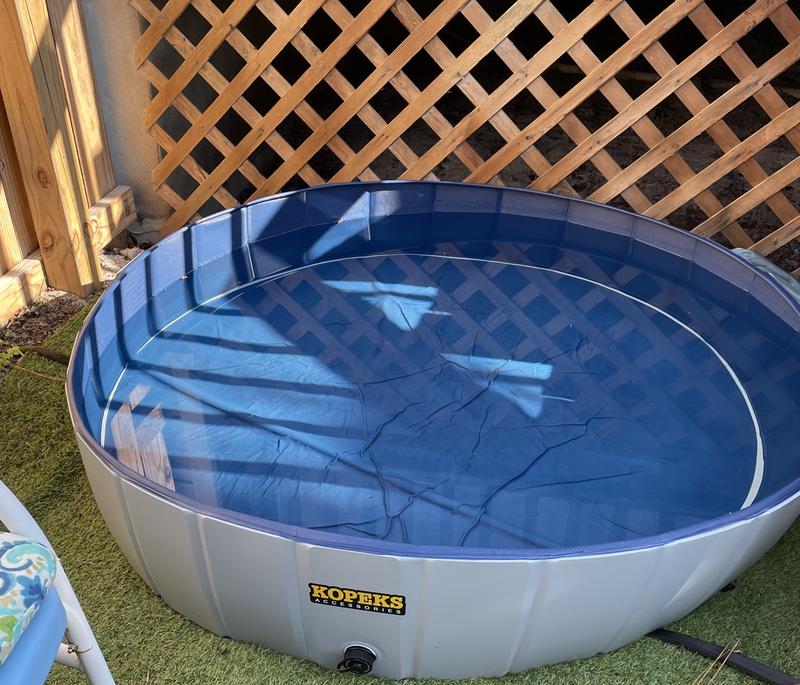 Just emptied, cleaned and full of water  and ready for my pups to enjoy.