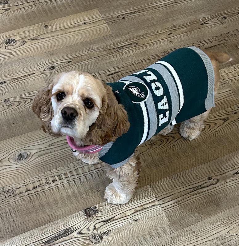 Go Birds!
