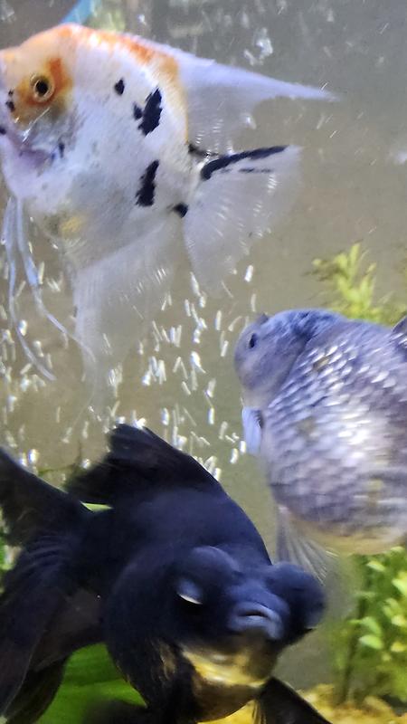 Come on, man, feed me!